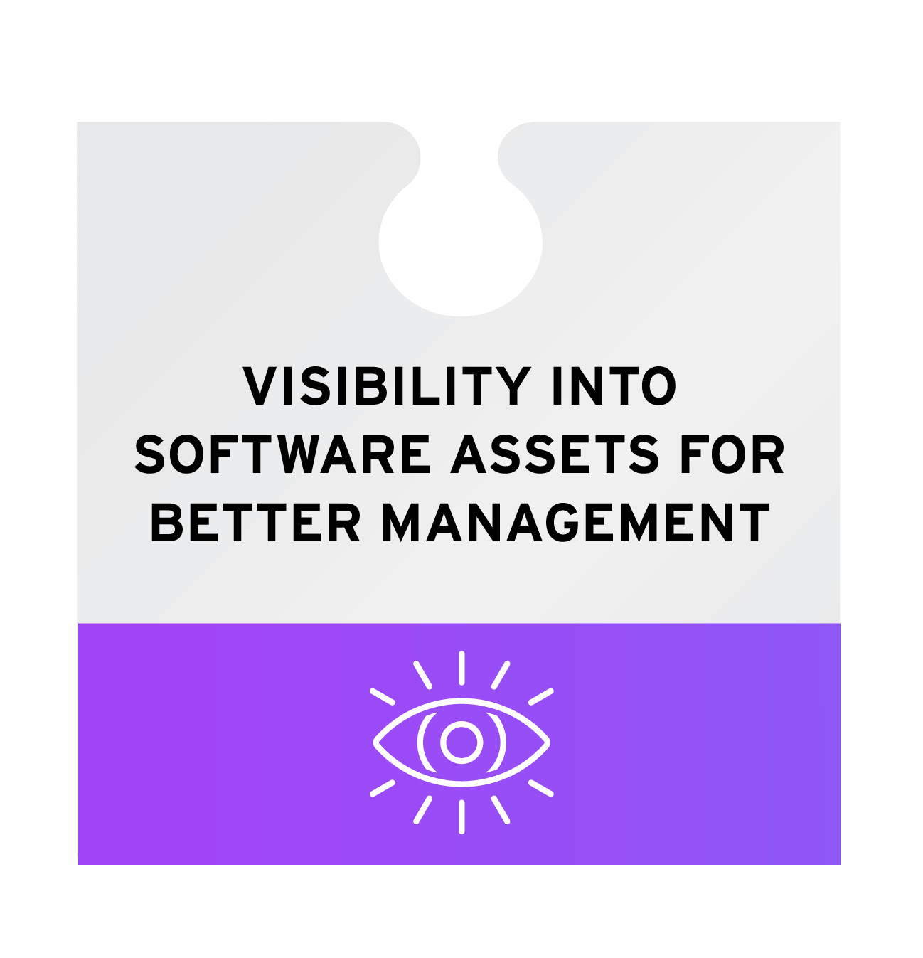 Visibility into software assets for better management