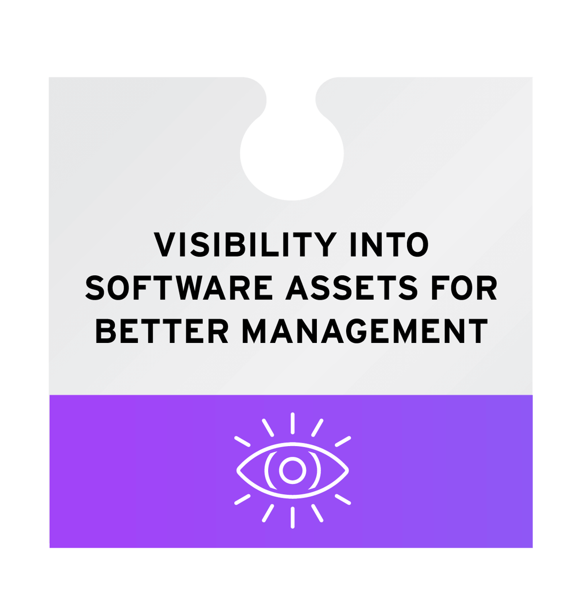 Visibility into software assets for better management