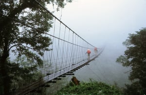Taiwan swinging bridge-1